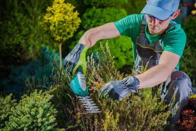 landscaping services Hamilton